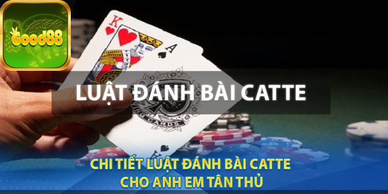 Thuật ngữ trong Catte